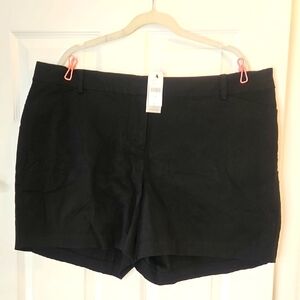Lane Bryant Classic Black Shorts